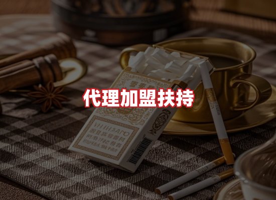 专业团队
